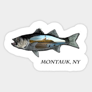 Surf casting Montauk, NY Sticker